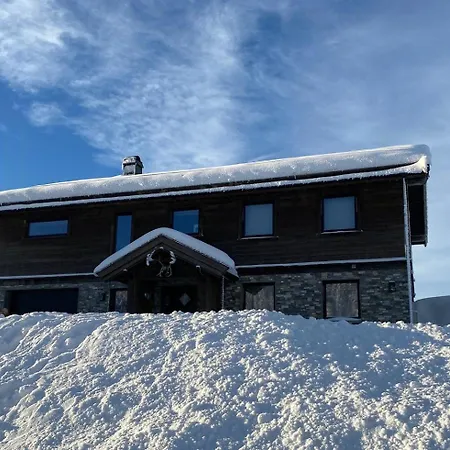 Modern Luxury And Homely Vibe In *