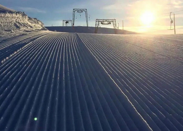 Modern Luxury And Homely Vibe In